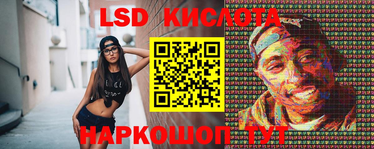 Гашиш Богданович