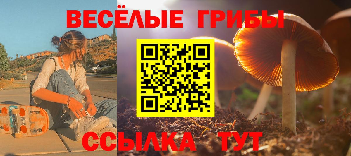 Галлюциногенные грибы прущие грибы Богданович