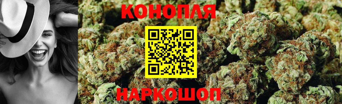 Бошки Шишки планчик  Бошки марихуана индика  Вход с VPN  Конопля план  Богданович 
